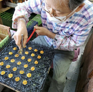Katsudon Food Sample Keychain